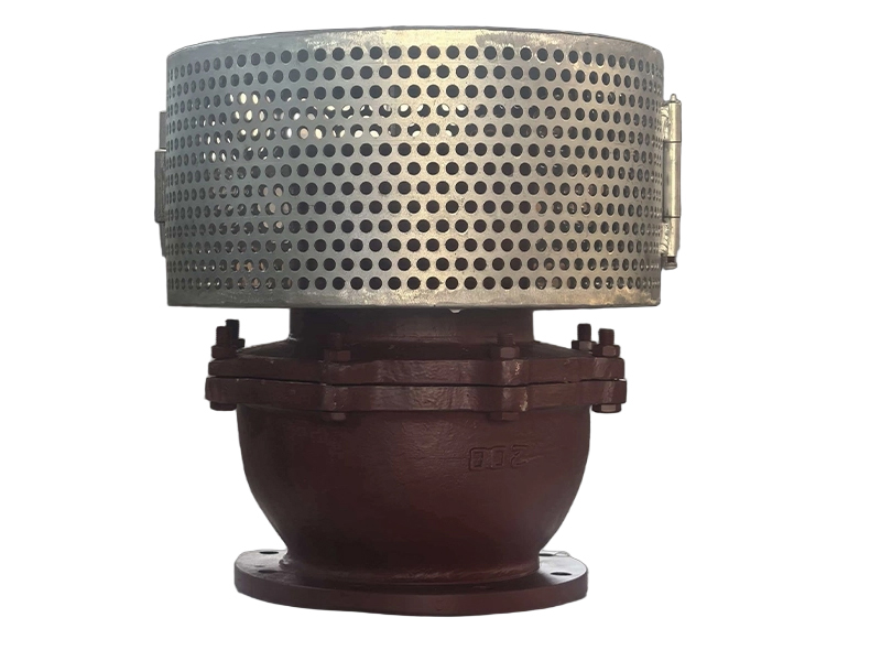 Suction check valve + filter screen